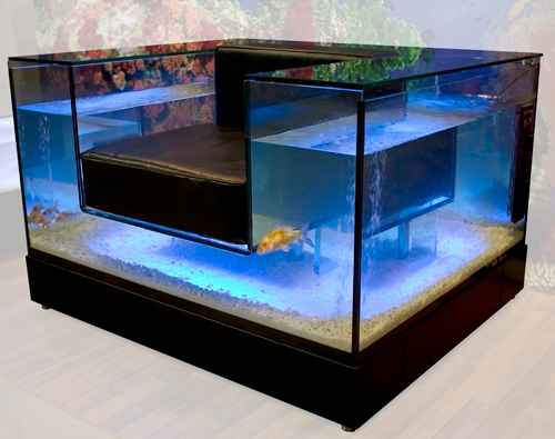 Уникальное кресло-аквариум: фото, идея